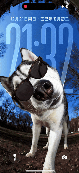 哈士奇-飞云资源库