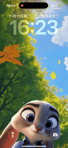 兔小姐-飞云资源库