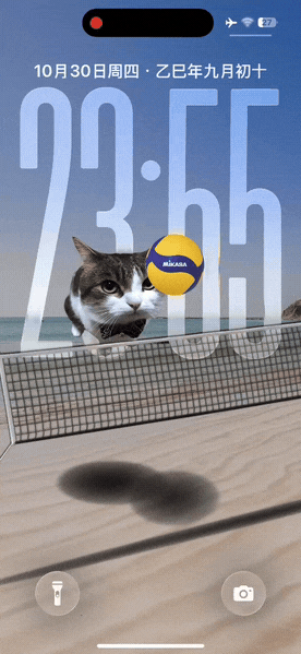 小猫排球-飞云资源库