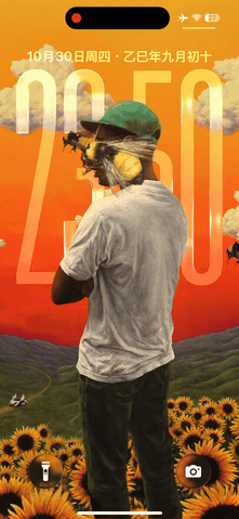 小蜜蜂-飞云资源库