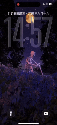 骨骼-飞云资源库